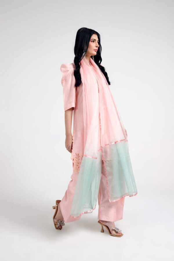 Cotton Candy