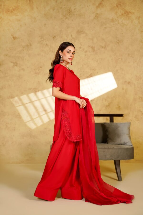 WhatsApp Image 2025-12-08 at 1.54.01 PM Ruby Luxe